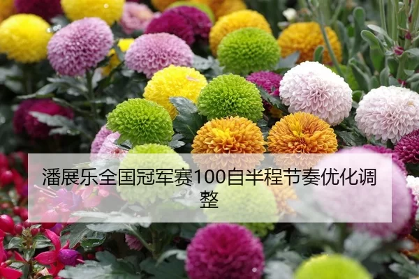 潘展乐全国冠军赛100自半程节奏优化调整