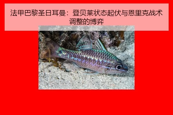 fa-jia-ba-li-sheng-ri-er-man-deng-bei-lai-zhuang-tai-qi-fu-yu-en-li-ke-zhan-shu-tiao-zheng-de-bo-yi-2-503.jpg