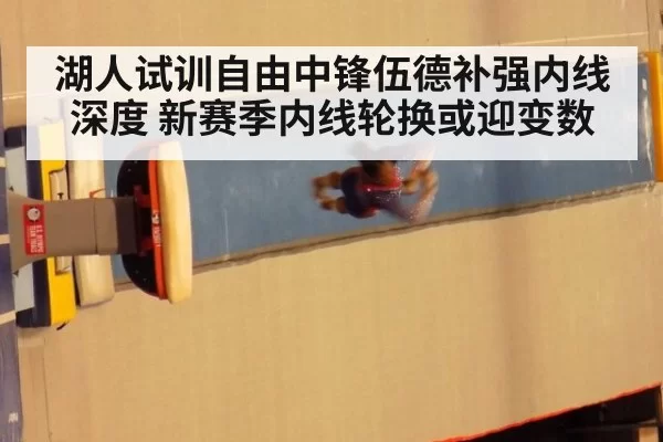 湖人试训自由中锋伍德补强内线深度 新赛季内线轮换或迎变数